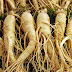 Ginseng: Boosting Immunity for Adults Over 50