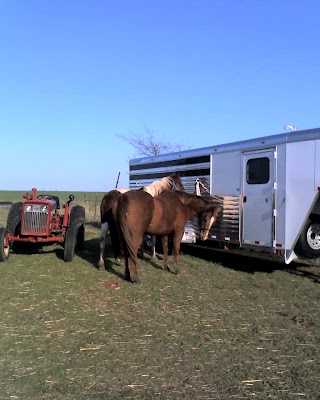 Apache & Gabby