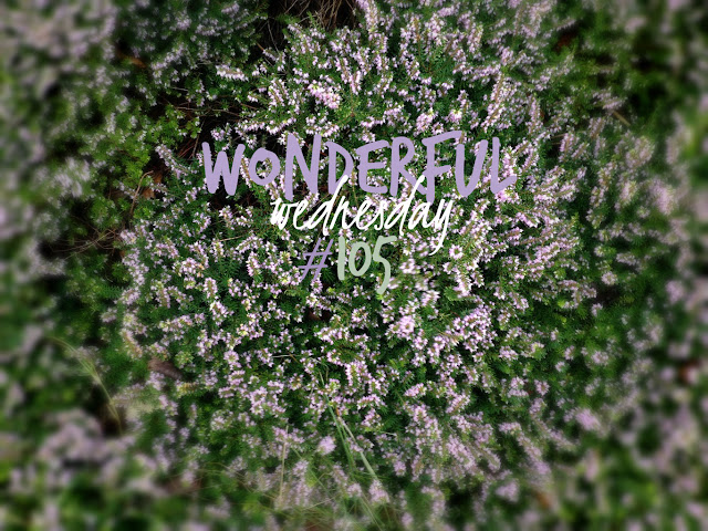 Wonderful Wednesday #105