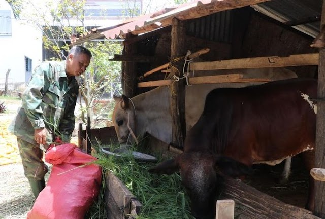 An Khê: Nguồn vốn chính sách góp phần phát triển kinh tế-xã hội