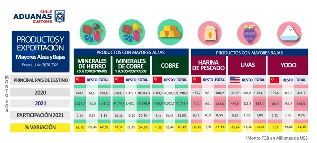 Gráfico 4. Productos y exportación.