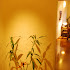 Rang Decor Readers' Creative Spaces: VII