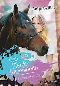 Drei Pferdefreundinnen - Filmpferd in Not (Pferdefreundinnen-Reihe, Band 1)