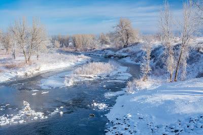 Winter Morning, Chatfield State Park