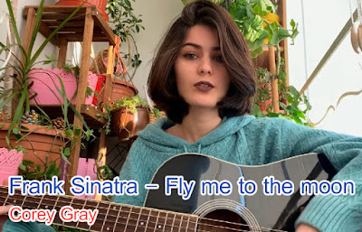 Frank Sinatra - Fly me to the moon (Nursena Yener Cover)