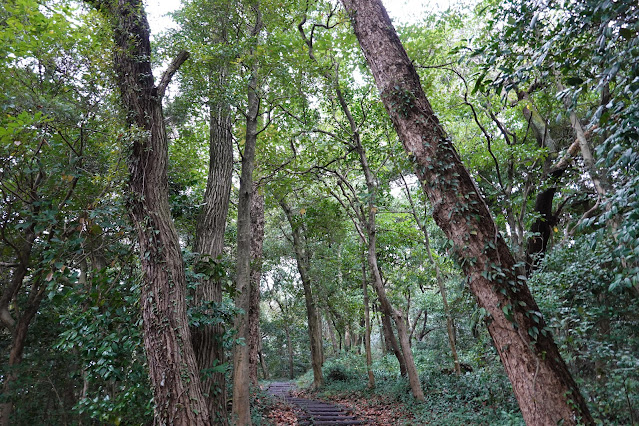 島根県安来市安来町 十神山城跡