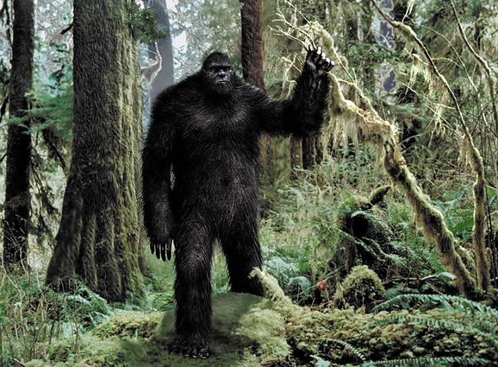 Misteri Penampakan Monster Bigfoot yang Menggegerkan Amerika,  naviri.org, Naviri Magazine, naviri