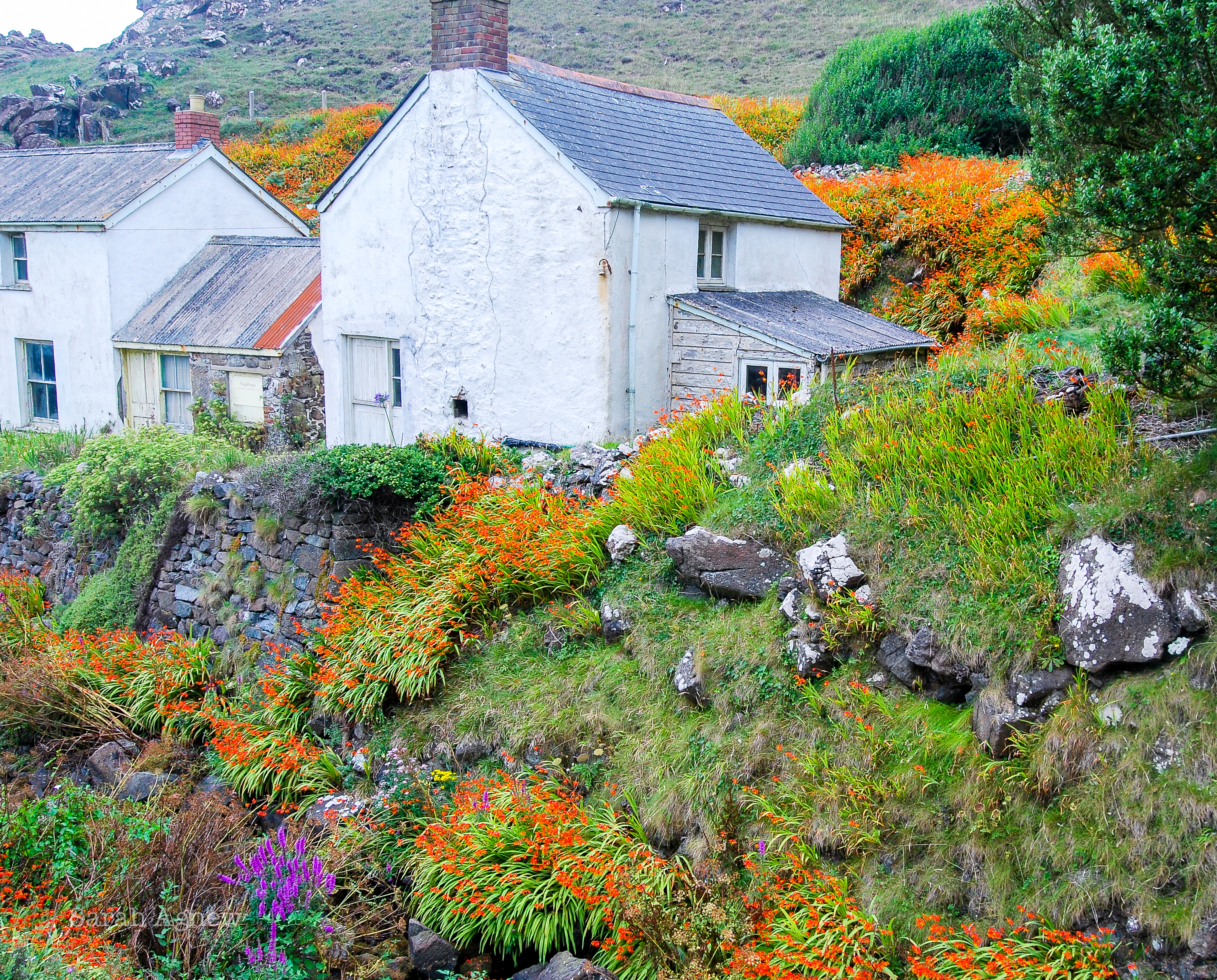 Lord Falmouth's cottages, Kynance Cove, Cornwall, Sarah Agnew Photos