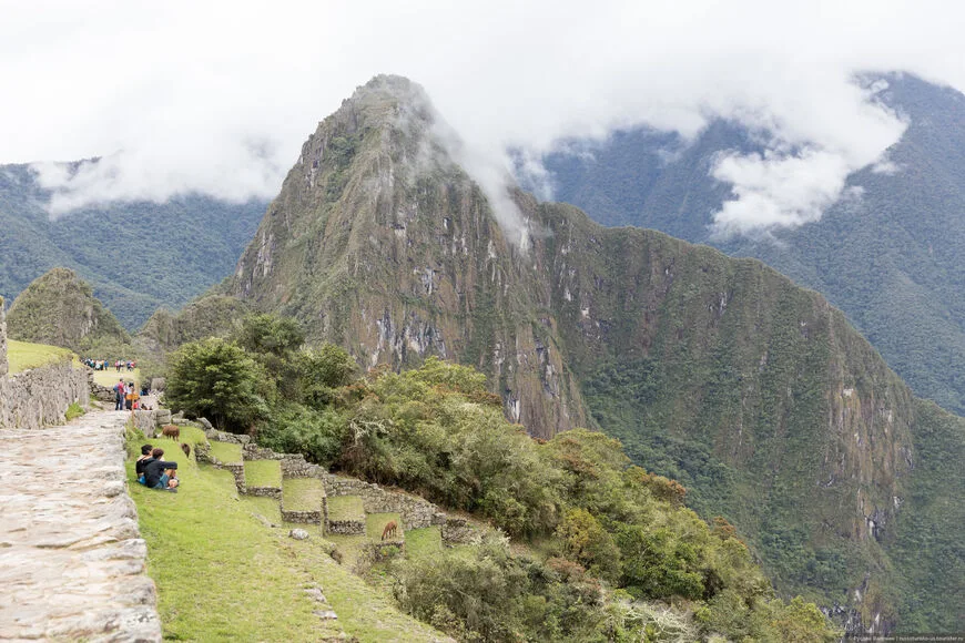 Machu Picchu