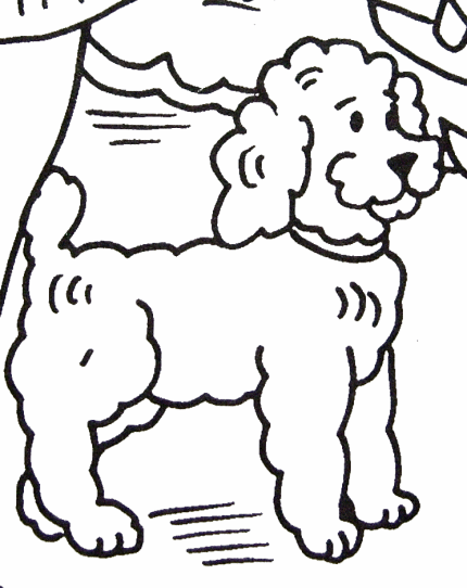 poodle para colorir 2 gif 430 542 with images on poodle coloring pages id=44788