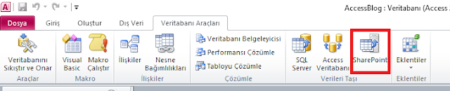 Access Menülerinin Tanıtımı-23