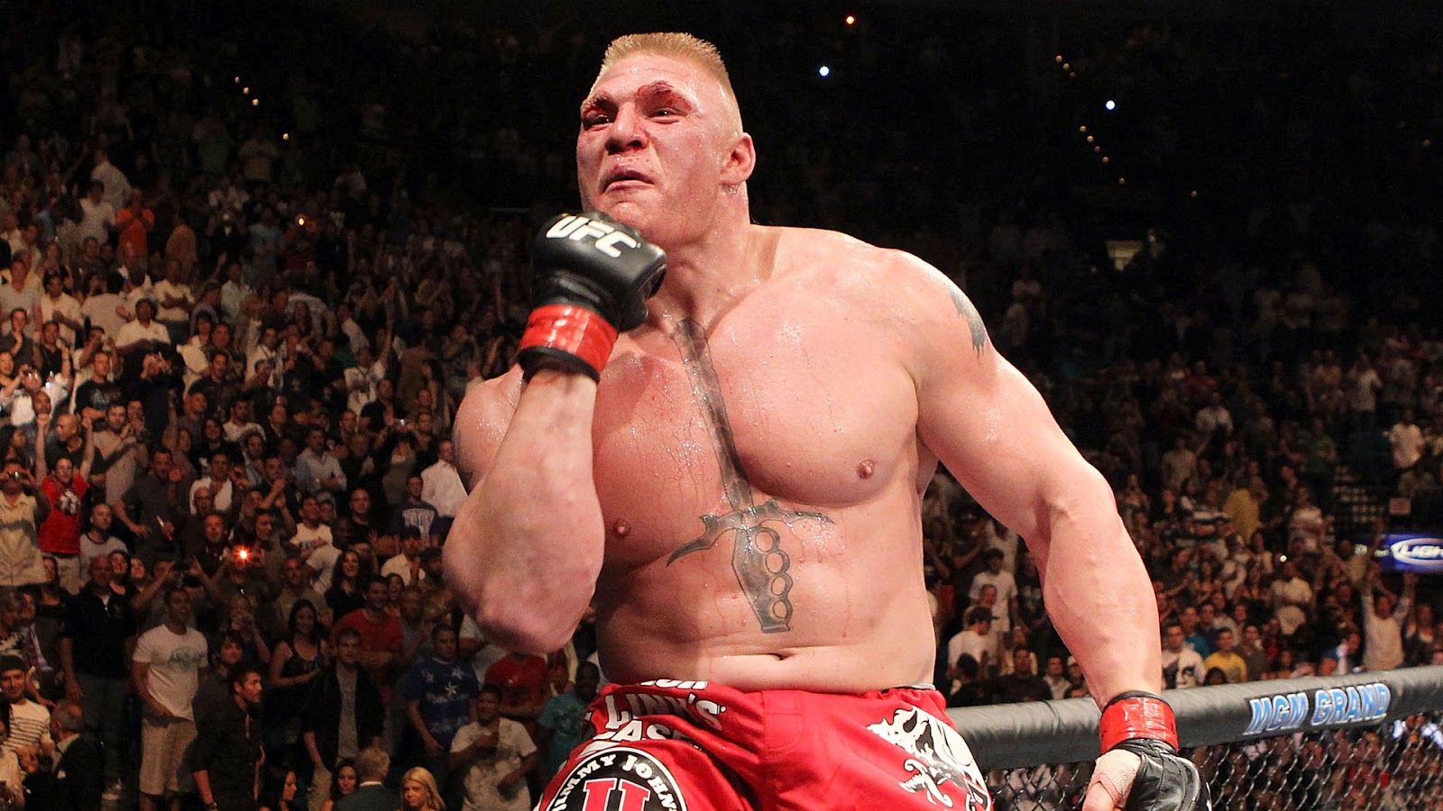 Brock Lesnar WWE Wrestler Profile And Latest Wallpaper | All Sports 