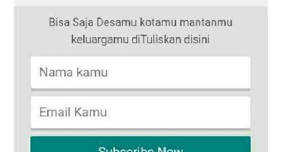 Widget subscribe email keren