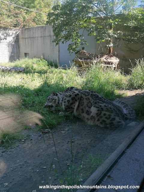 ZOO in Kraków