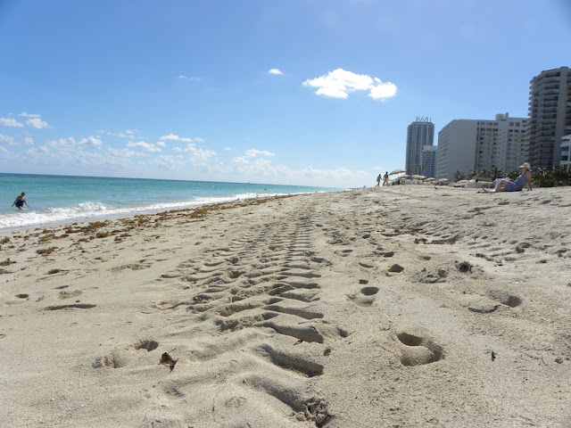 Miami Beach