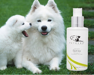 Medicated  Pet Spray