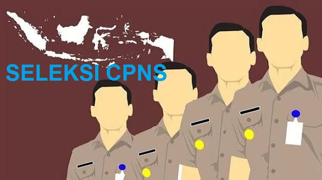 Seleksi CPNS 2018