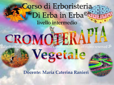 Docente del Corso di Erboristeria “Di Erba in Erba©” Cromoterapeuta - Cromoestetica Floriterapeuta Mediterranea - esperta di Cosmesi naturale personalizzata, Consulente naturopata - vasta esperienza anche con bimbi e anziani -  Istruttrice di “Tai Chi Chuan” http://dierbainerba.blogspot.it - © Maria Caterina Ranieri – all rights reserved ॐ 