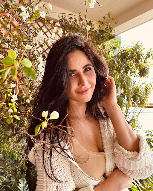 Stunning Image of Katrina kaif