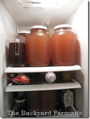 apple cider - The Backyard Farmwife