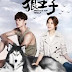 Drama Taiwan Prince of Wolf (2016) Subtitle Indonesia