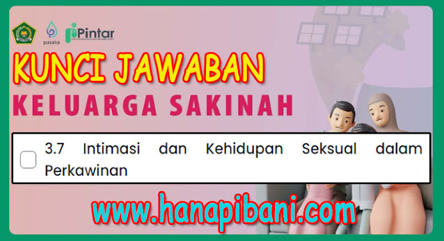 hanapibani.com