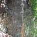 View album
