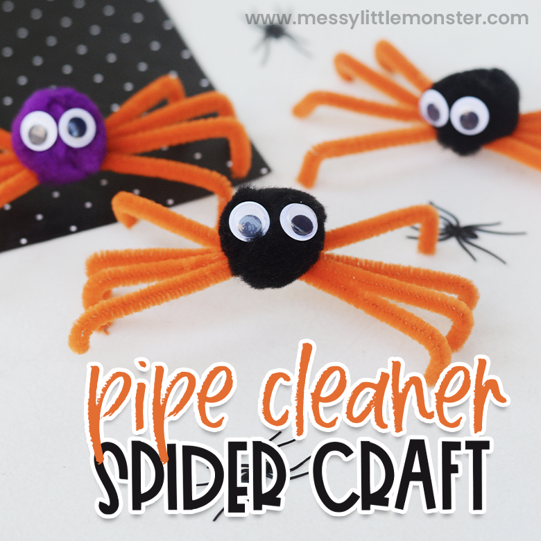 Pipe cleaner spider craft