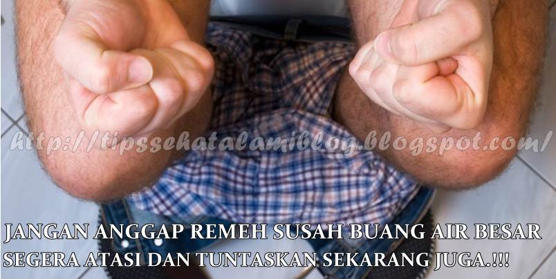 Obat Tradisional Susah Buang Air Besar SEHAT ALAMI