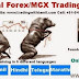 Trading Training Forex