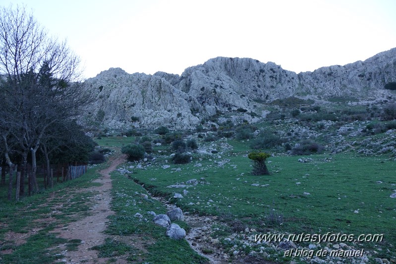 Caillo - Cintillo desde Benaocaz