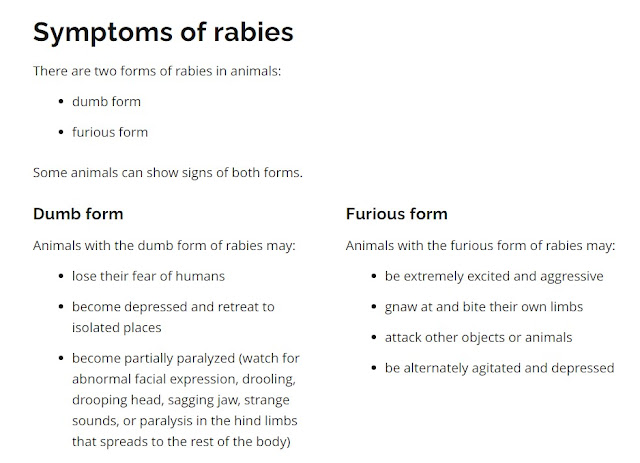 Ontario government symptoms of rabies