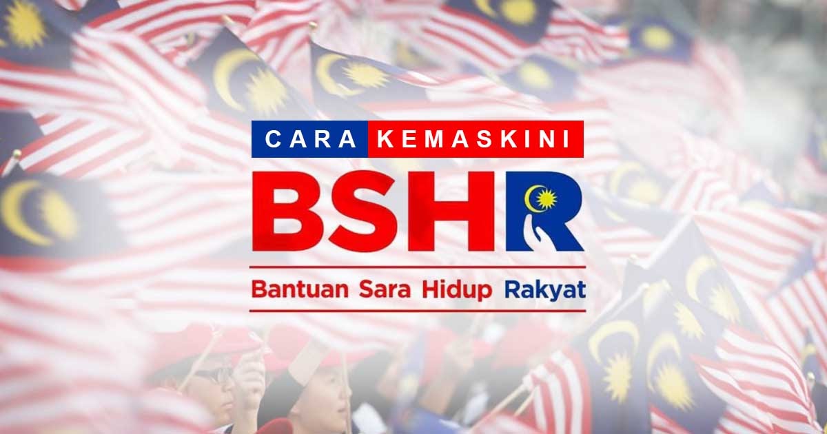 Kemaskini Permohonan Br1m 2019 - Contoh Nde