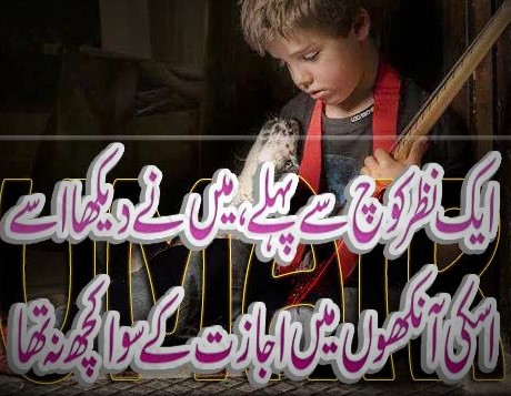 Usski aankhoun main ijaazat ke siwaa kuch na tha Urdu Shayari