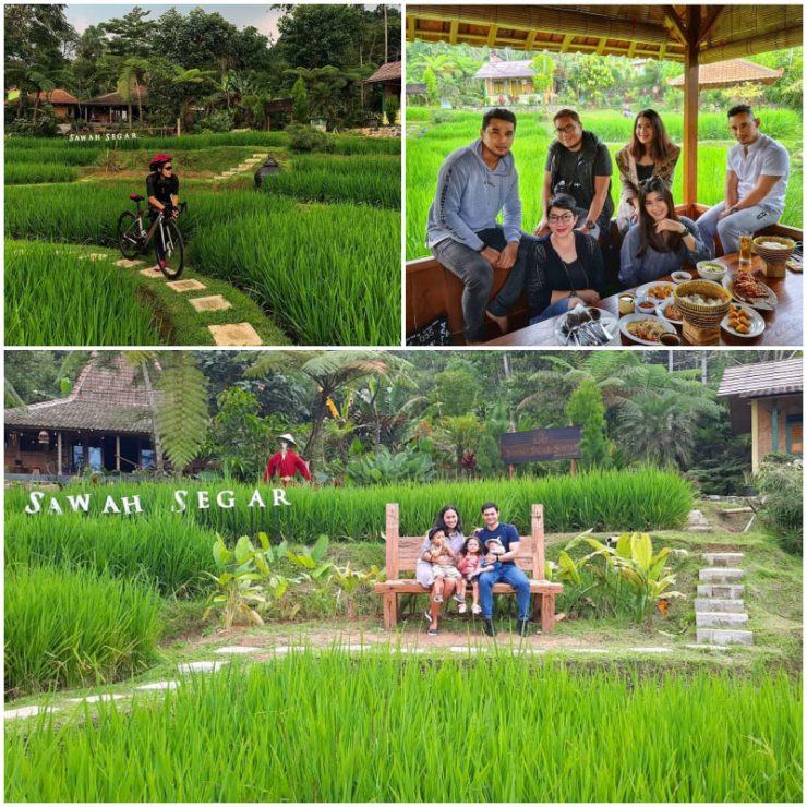 Sawah Segar Sentul Bogor