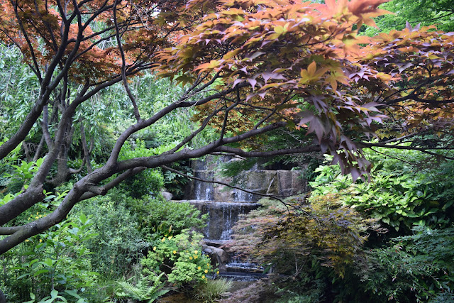 garden the westin tokyo