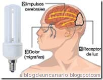 elblogdeuncanario.blogspot.com