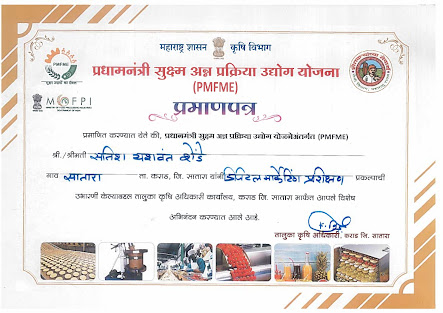 Satish Shende Certificate