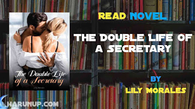 Read The Double Life of a Secretary Novel Full Episode