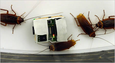 Robot Paling Keren Dari Jepang lucupedia