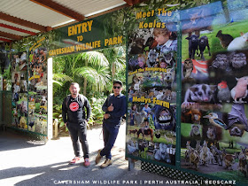 Caversham Wildlife Park, Perth Australia