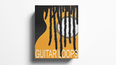 Royalty free Reggae guitar loop kit + Free Sample Pack | vol.1