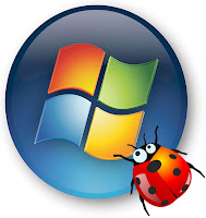 windows 8 bug