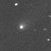Un cometa recién descubierto es probablemente un visitante interestelar