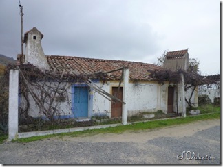 P1190163