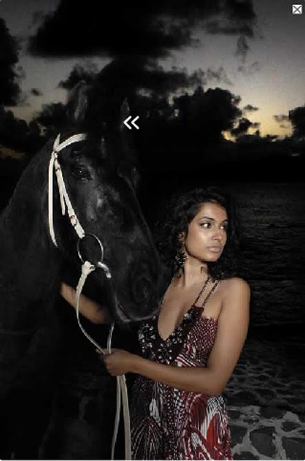 Bollywood Hottie Sarah Jane Dias Hot Pictures