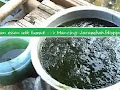 mancing-jarambah