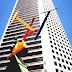 JPMorgan Chase Tower (Houston) - Houston Chase Bank