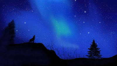 Wallpaper For Desktop Wolf, Alone, Silhouette, Stars, Trees