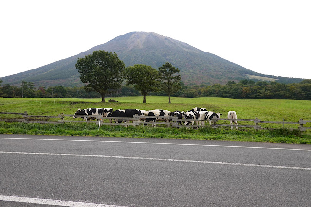 鳥取県西伯郡伯耆町小林　大山放牧場